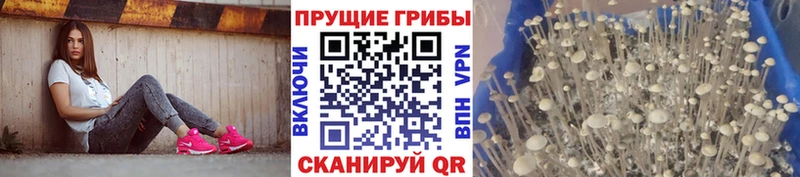 kraken зеркало  Геленджик  Псилоцибиновые грибы ЛСД  купить наркотик 